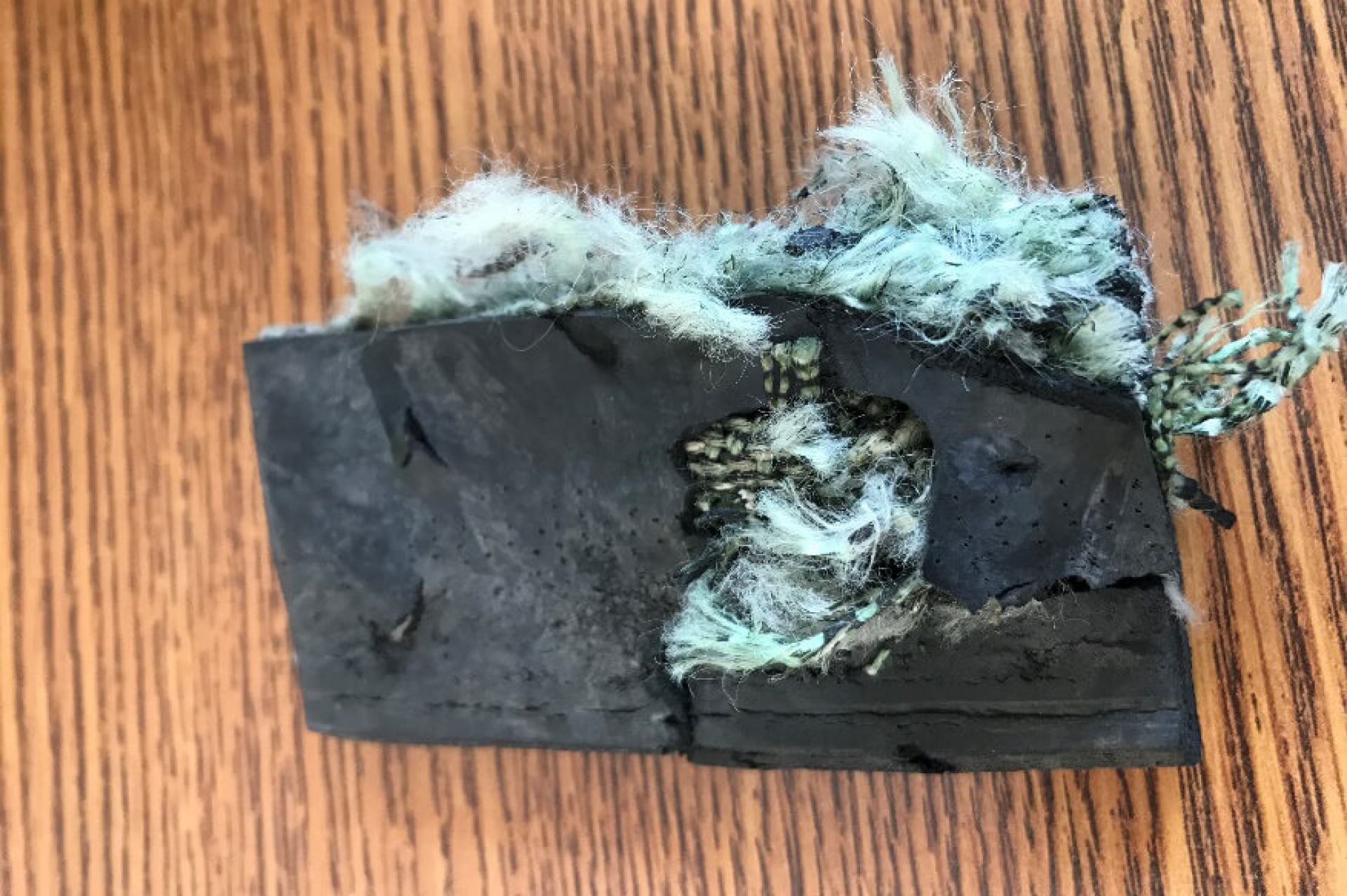 Hogsback Wildlife Area and Target Shooting Range Conservation